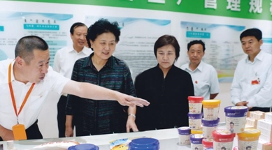 原中共中央政治局委員、國務(wù)院副總理劉延?xùn)|視察我公司